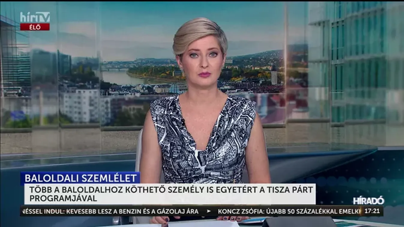 Több a baloldalhoz köthető személy is egyetért a Tisza párt programjával