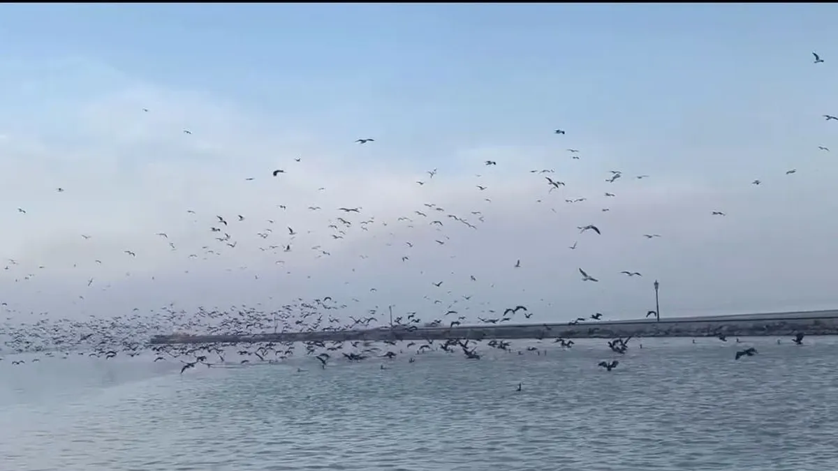 Hatalmas pusztítást végeznek