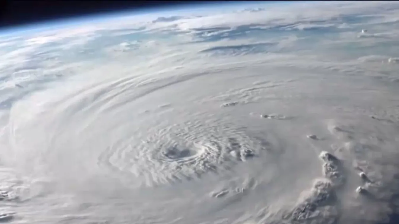 A boldogság tanítása - a Dalai Láma filmje