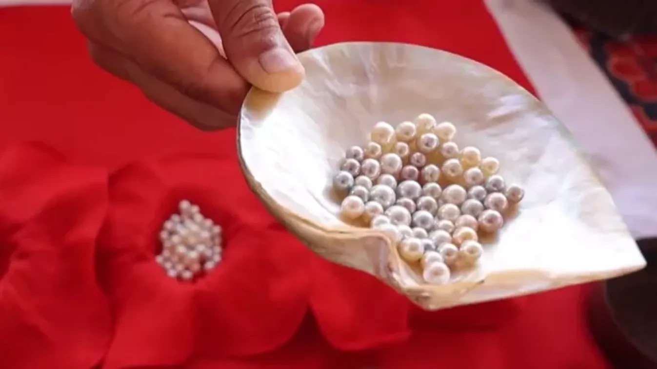 A gyöngy összeköti a múltat és a jelent, a hagyományt és a technológiát