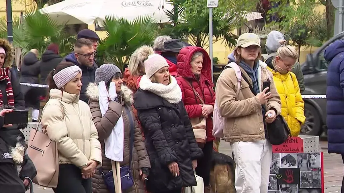 Krokodilkönnyek a bíróságon – Letöltendőt ért a 66 éves állatkínzó kegyetlensége