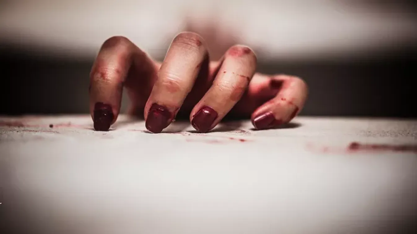 Nem elmebeteg, csak bedrogozott gyilkos: 122 centis karóval végzett áldozataival a bedrogozott ámokfutó