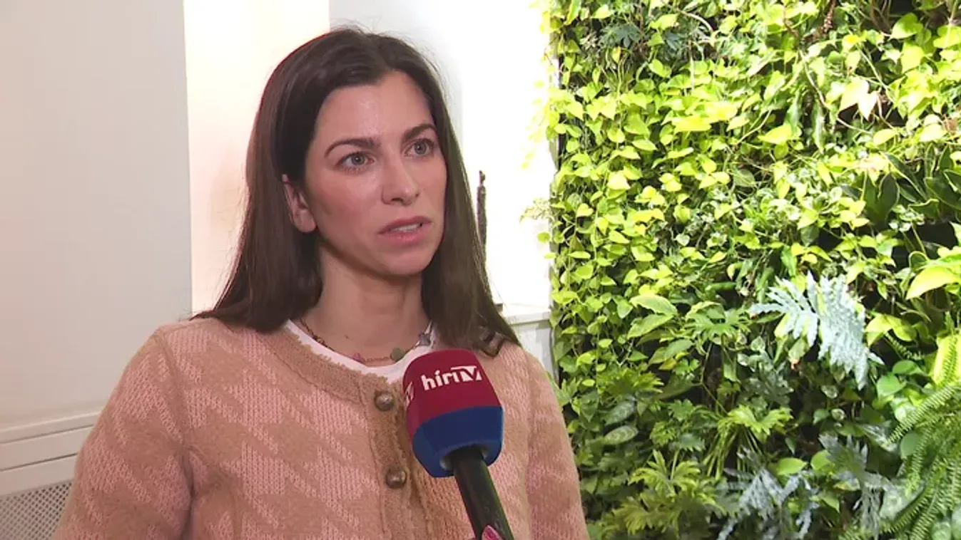 Szentkirályi Alexandra: Budapest elesett