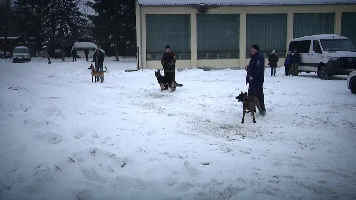 Négylábú zsaruk kerestetnek – Szigorú rostán mentek át a kutyák Dunakeszin