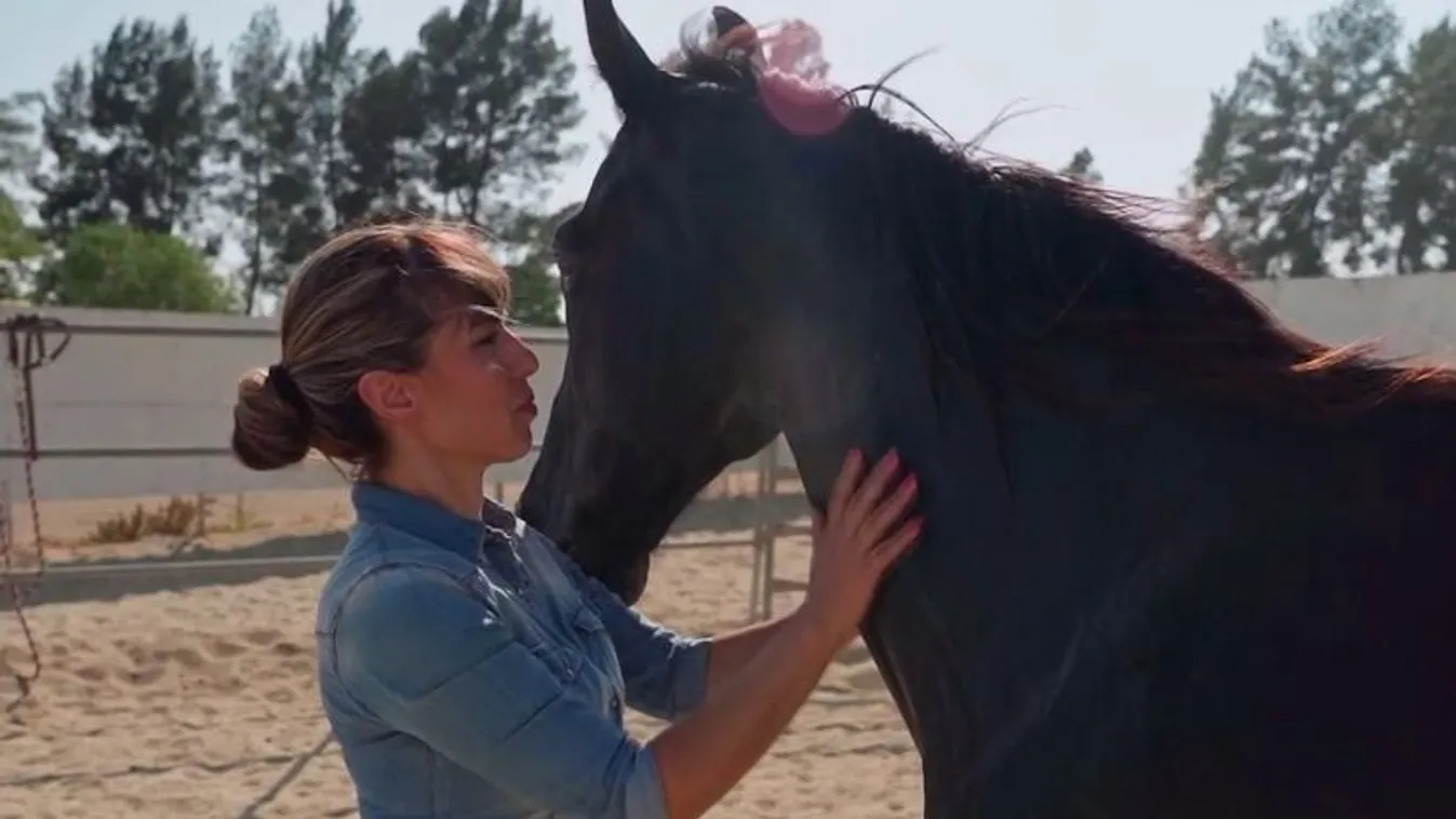 Amikor egy ló segítségével tanulhatunk önismeretet