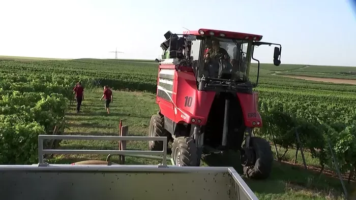 A gazdákat aggasztja a támogatások csökkentése és az olcsó dél-.amerikai áruk dömpingje