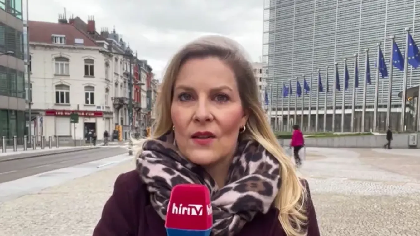 Jegeli a magyar ügyeket a választásokig az Európai Bizottság