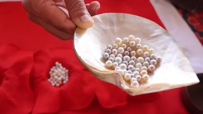 A gyöngy összeköti a múltat és a jelent, a hagyományt és a technológiát