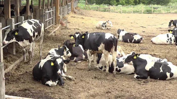 A természet most kegyes, de a szakértők már a 2026-os gondokra figyelmeztetnek