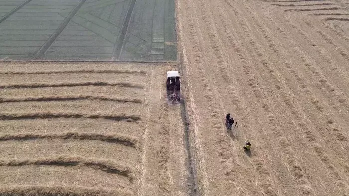 Pandzsábtól Horvátországig: így próbál túlélni a mezőgazdaság a perzselő jövőben