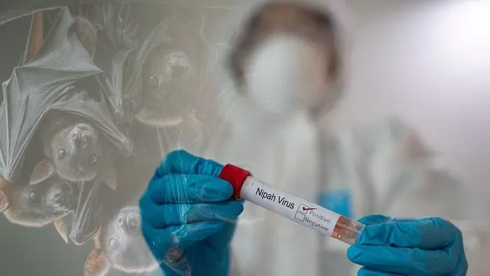 Nipah-vírus: kell-e tartanunk egy újabb világjárványtól? – Szlávik János válaszol
