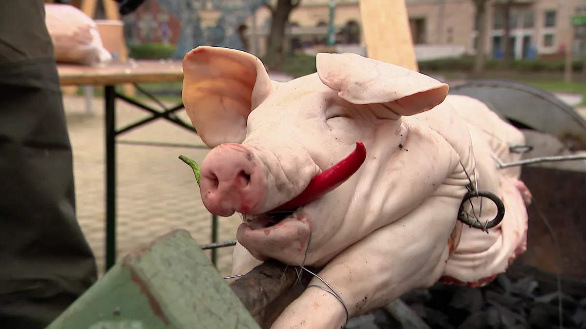 Botrány a menü körül: Peppa malac miatt módosított a színház