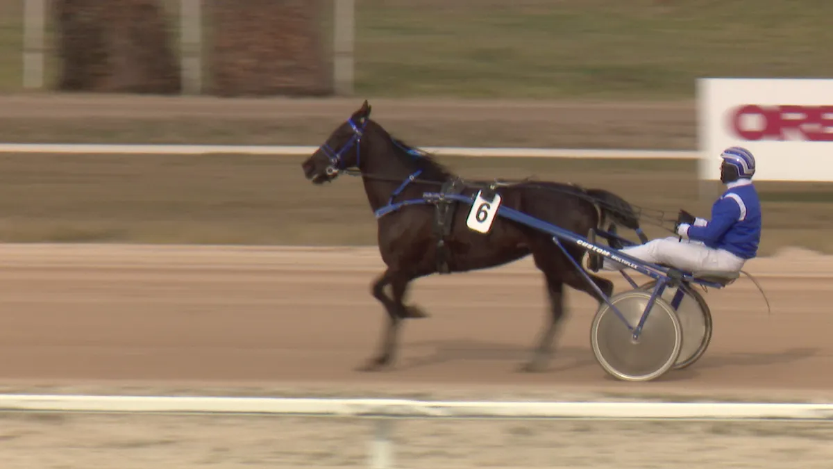 Az ügetőfarsanggal kezdetét vette az idei szezon a Kincsem Parkban