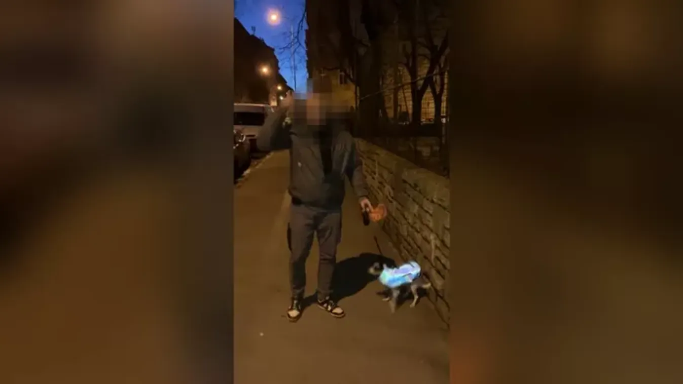 Plakátrongálás és bántalmazás – Rendőrkézen a Fidesz-aktivista támadója