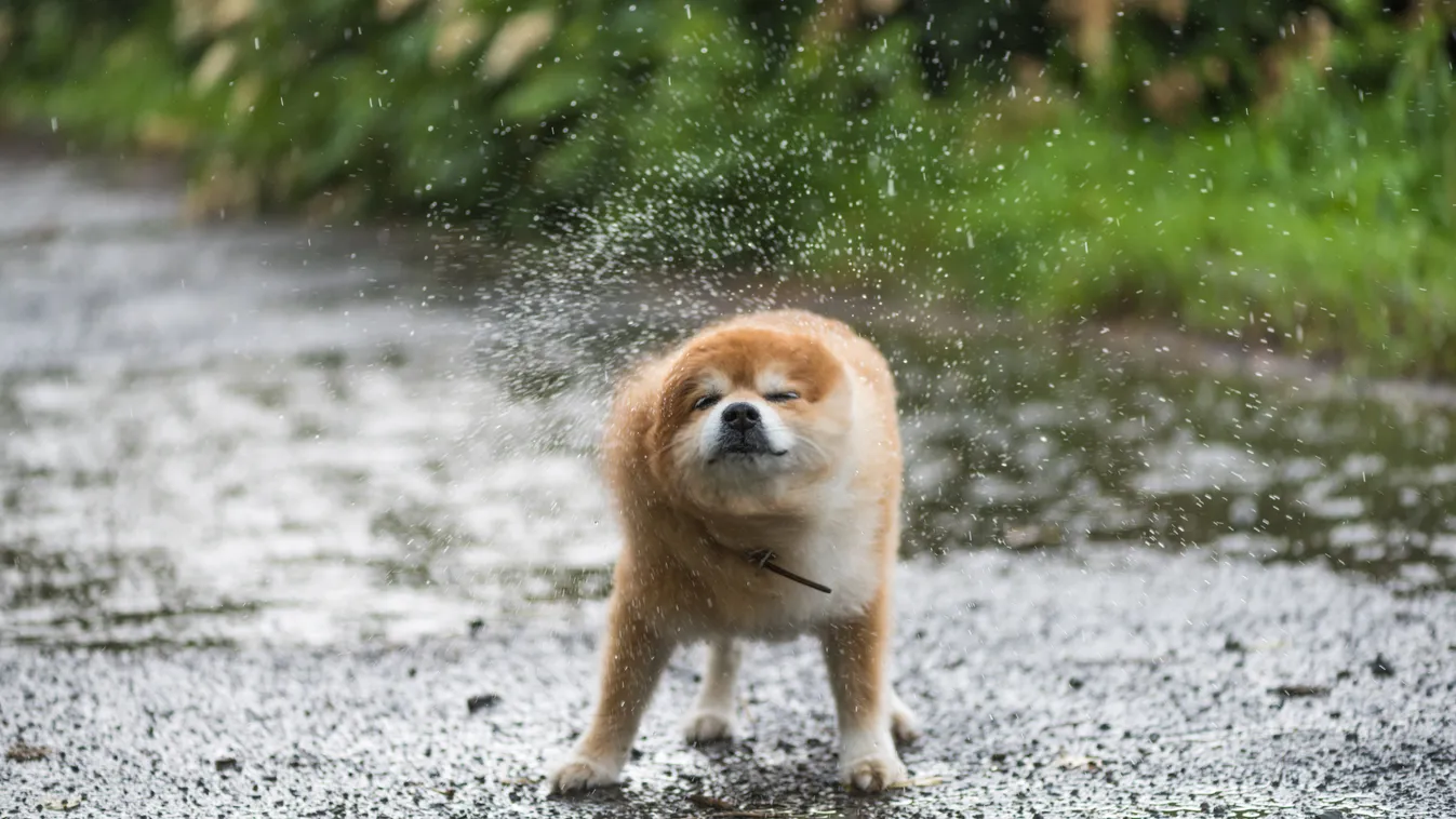 Miközben Spanyolország vízbe fúl, nálunk a föld issza a "folyékony aranyat" – Megszólalt a vízügy a hóolvadásról