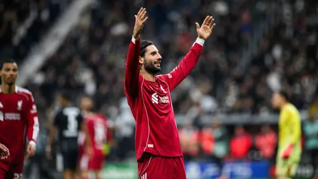 Varázslat és kiállítás