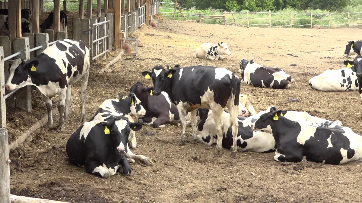 A természet most kegyes, de a szakértők már a 2026-os gondokra figyelmeztetnek