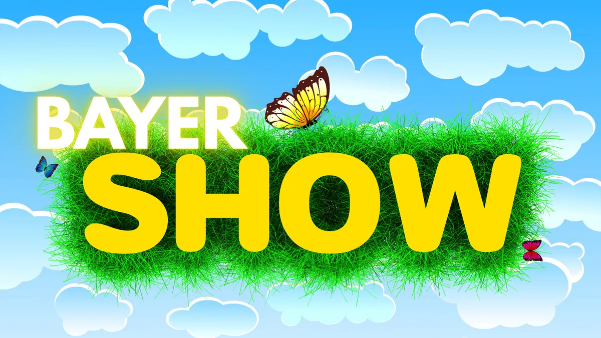 Magyar Péter csapata a Black Rock gyarmat előretolt helyőrsége?