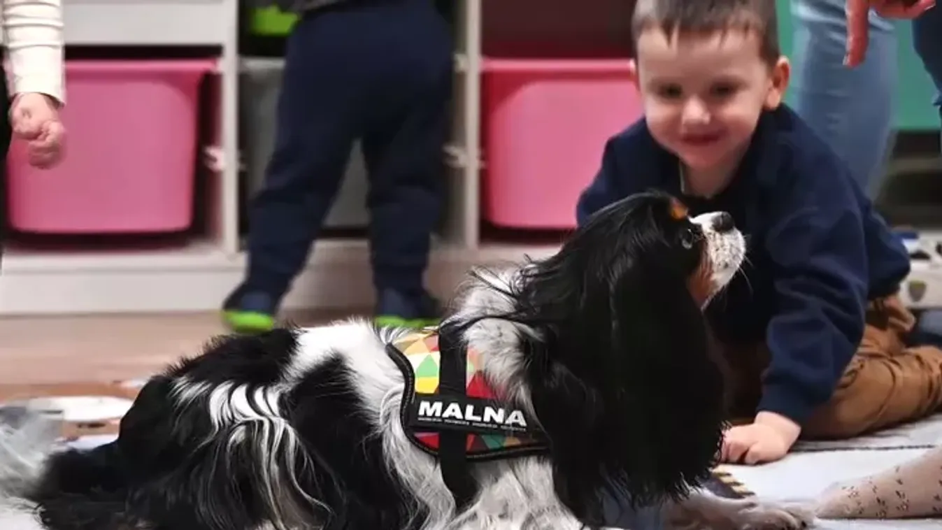 Kutyával a beszédfejlődésért