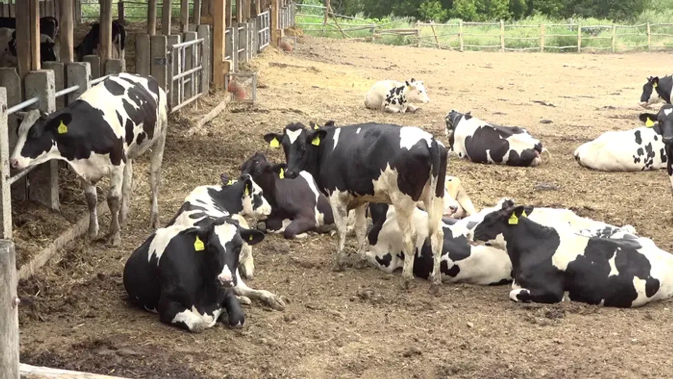 A természet most kegyes, de a szakértők már a 2026-os gondokra figyelmeztetnek