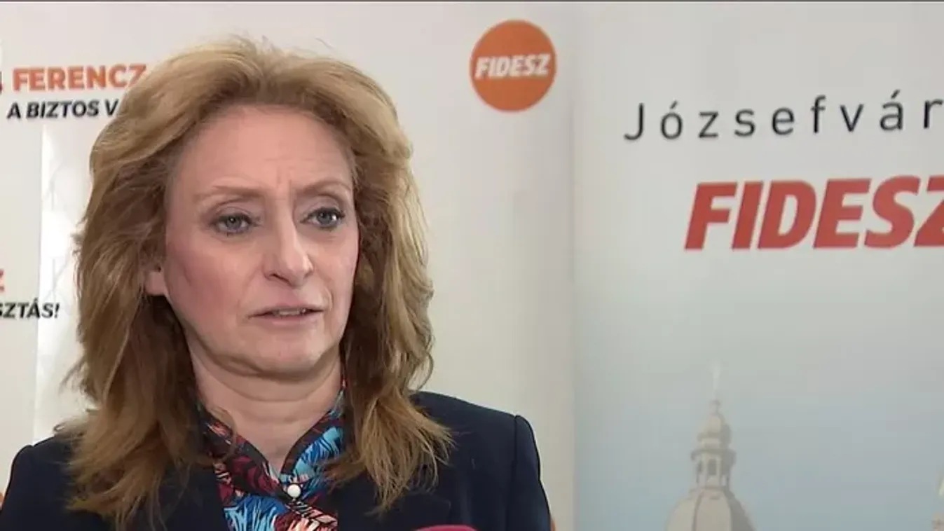 Őrizetbe vették a Fidesz-aktivistát megverő terézvárosi férfit