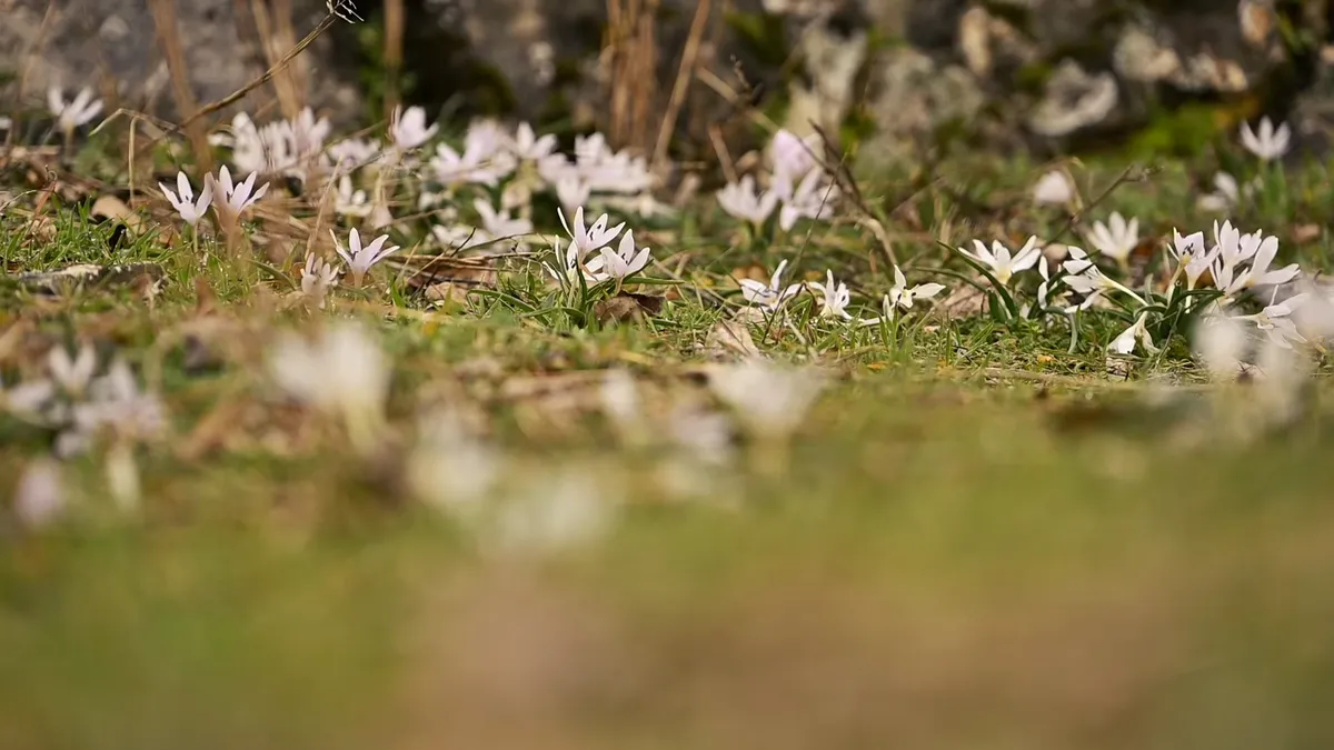 Elképesztő természeti csoda Villány mellett