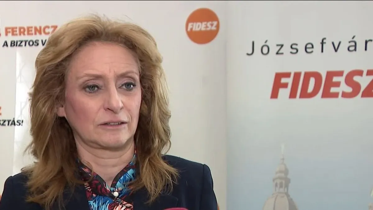 Őrizetbe vették a Fidesz-aktivistát megverő terézvárosi férfit