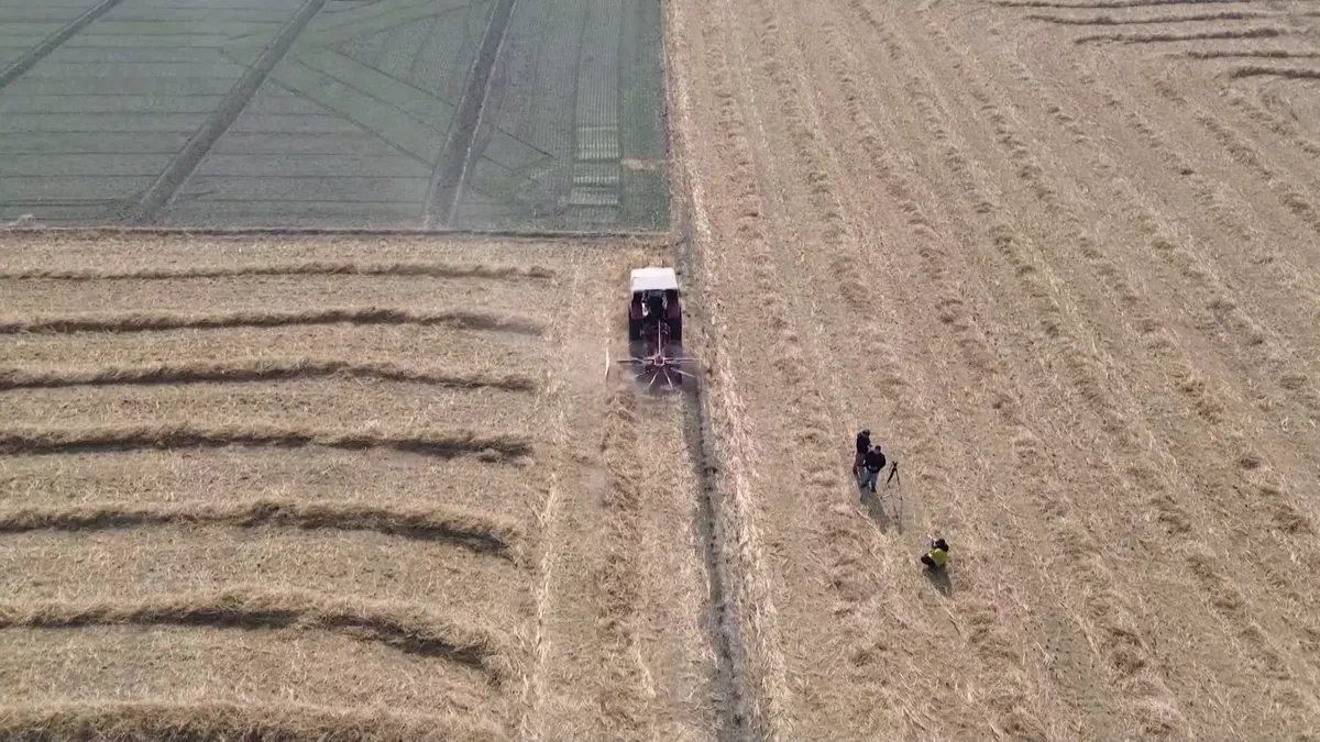 Pandzsábtól Horvátországig: így próbál túlélni a mezőgazdaság a perzselő jövőben