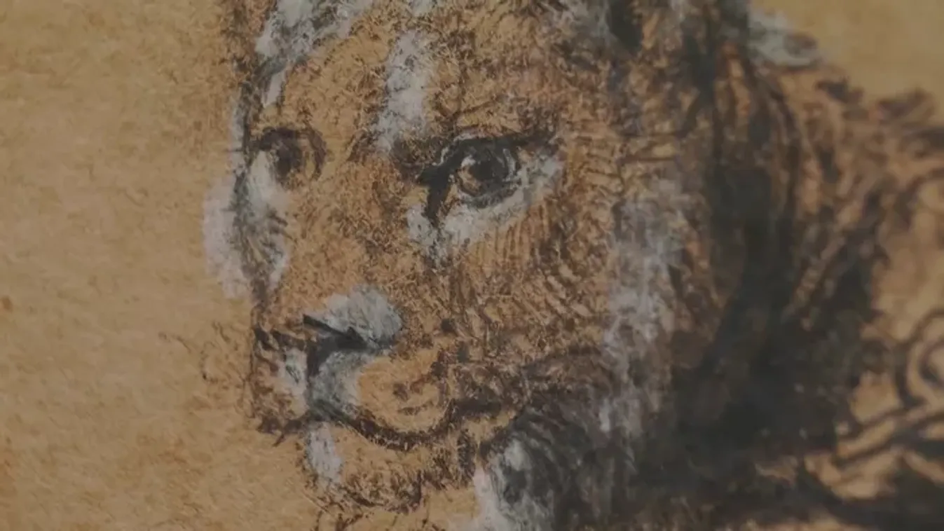 Egy pihenő oroszlán, ami felrázta a műkereskedelmet