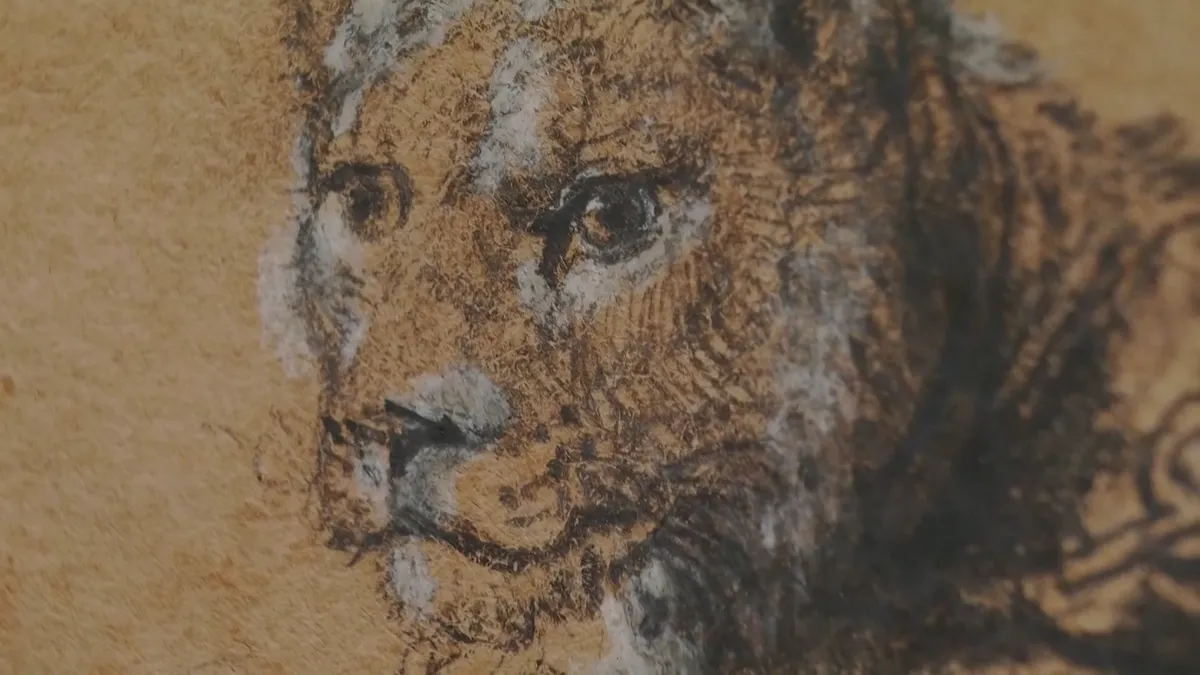 Egy pihenő oroszlán, ami felrázta a műkereskedelme