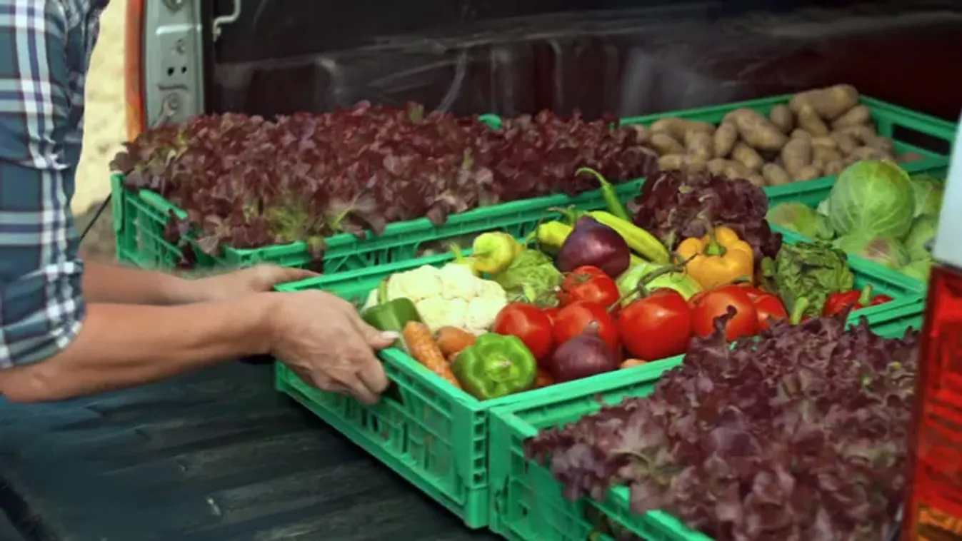 Sokkoló szám: ennyi ételt dob ki egy magyar évente