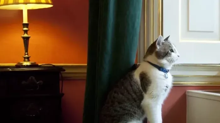 A macska, aki az elmúlt 15 évben több miniszterrel is együtt dolgozott