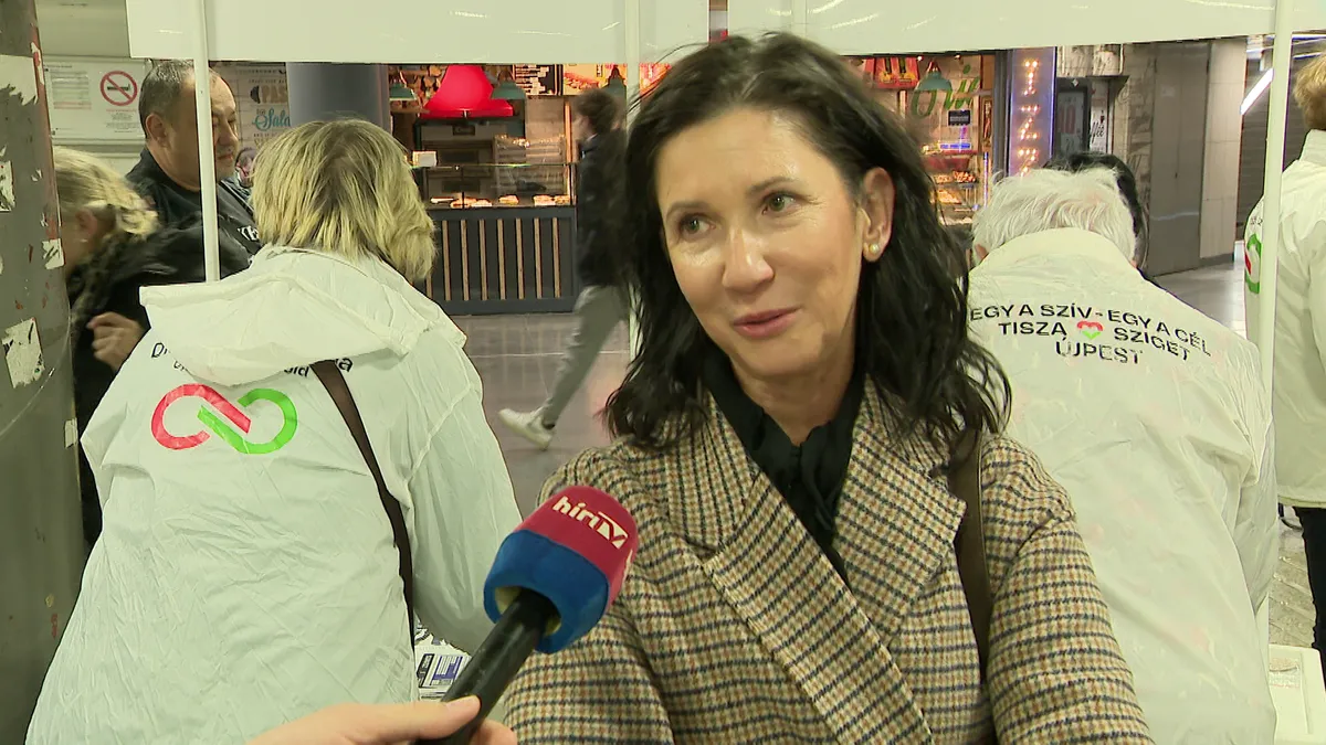 Vitától távol – így kerüli a nyilvánosságot Magyar Péter jelöltje