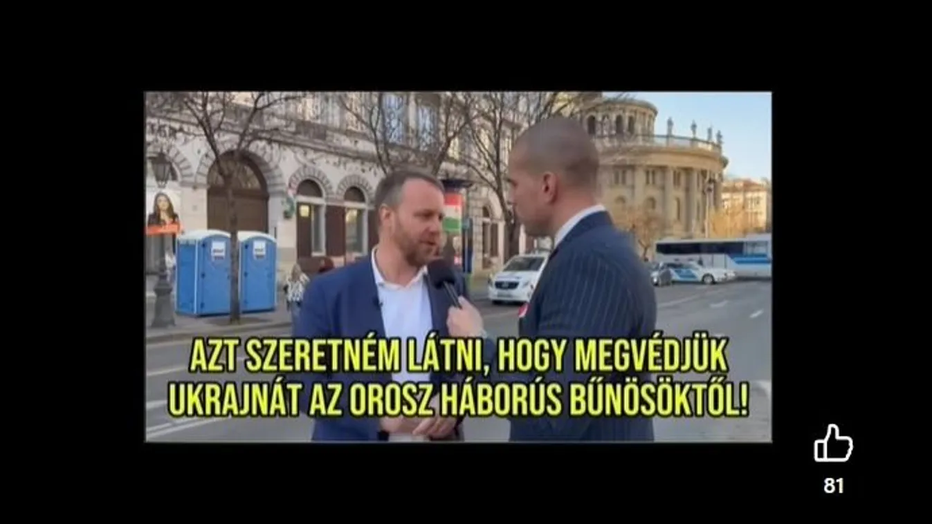 Magyargyűlölő német zöldpárti EP-képviselő fejezte ki támogatását a Tisza Párt elnöke iránt