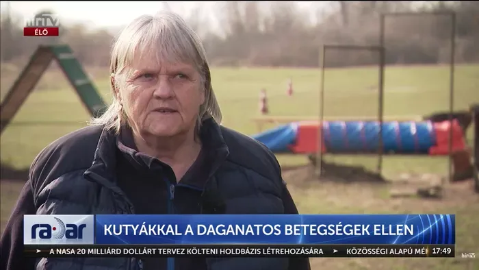 A rákdiagnosztika jövője a kutyák orrában rejlik?