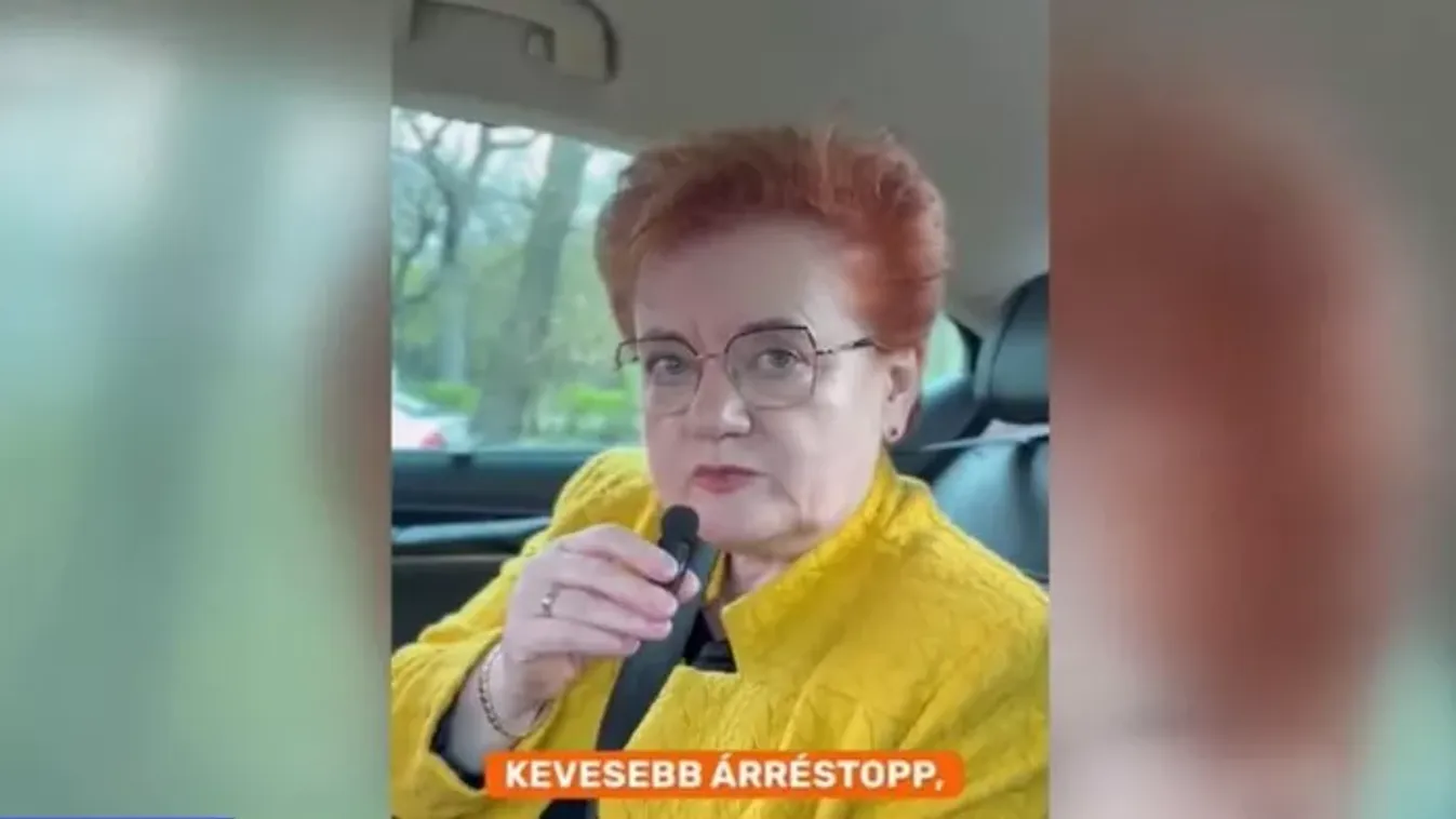 A Tisza Párt gazdasági agytrösztje kevesebb árrésstopról és szektorális különadókról beszélt