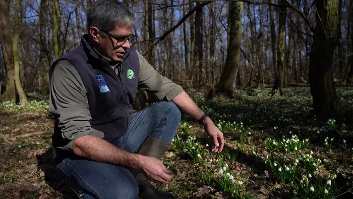 Elképesztő természeti jelenség a Fertő–Hanságban: fehérbe öltözött az egész erdő