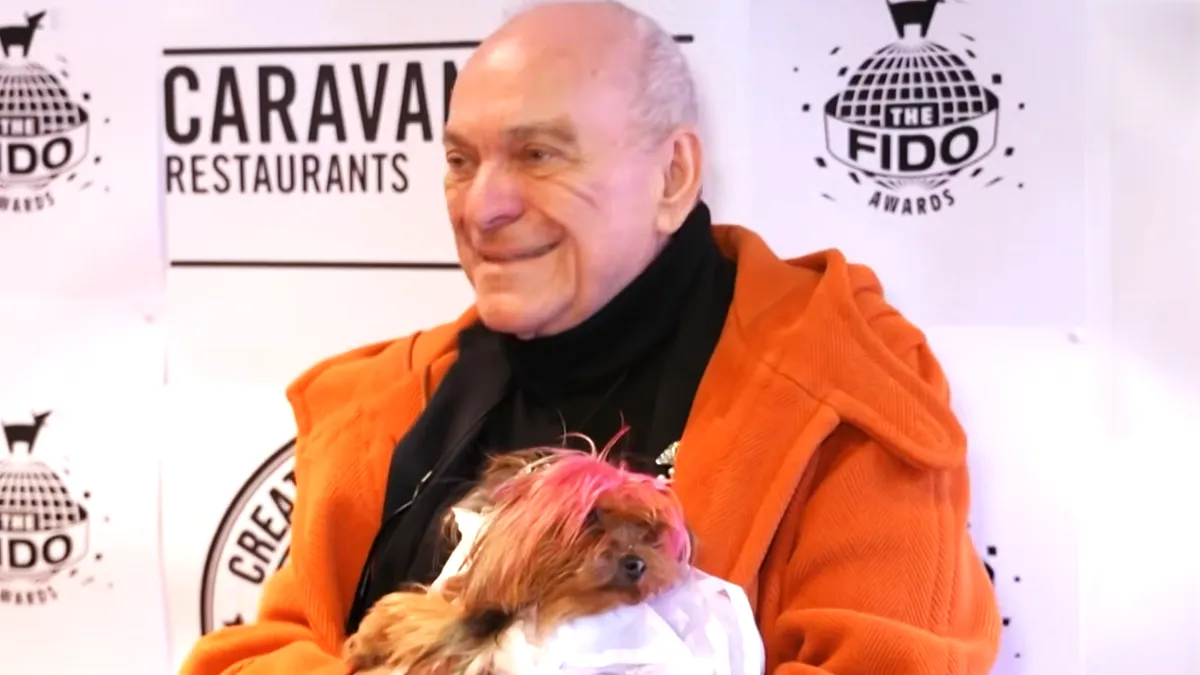 A mozivászon legjobb kutyái