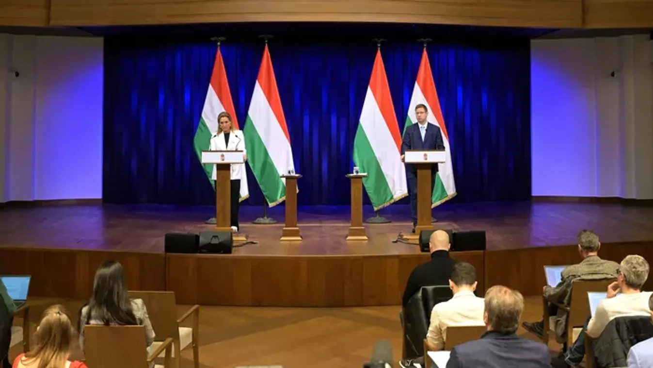 Kormányinfó és elemzés - Élő közvetítés