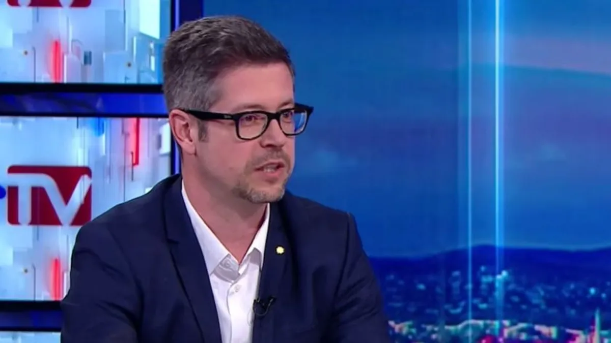 Faültetés és vadmacskamentés, mint egy fontos feladat bolygónk megóvásában