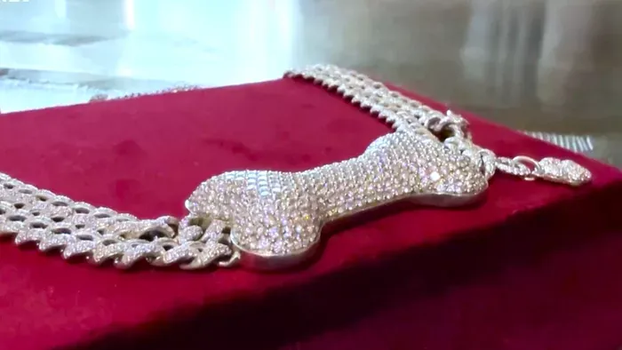 A luxus már a kutyusoknak is kijár