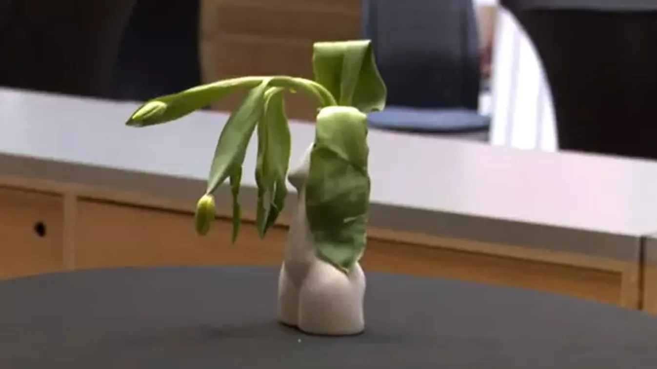 A női betegségek nem természetesek!