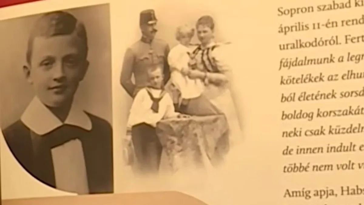 IV. Károly Sopronban