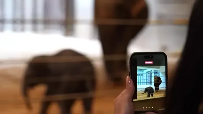 Az „apró” állatkerti csoda, amely meghódította a látogatók szívét