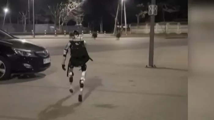 Vaddisznókat hajt egy robot?