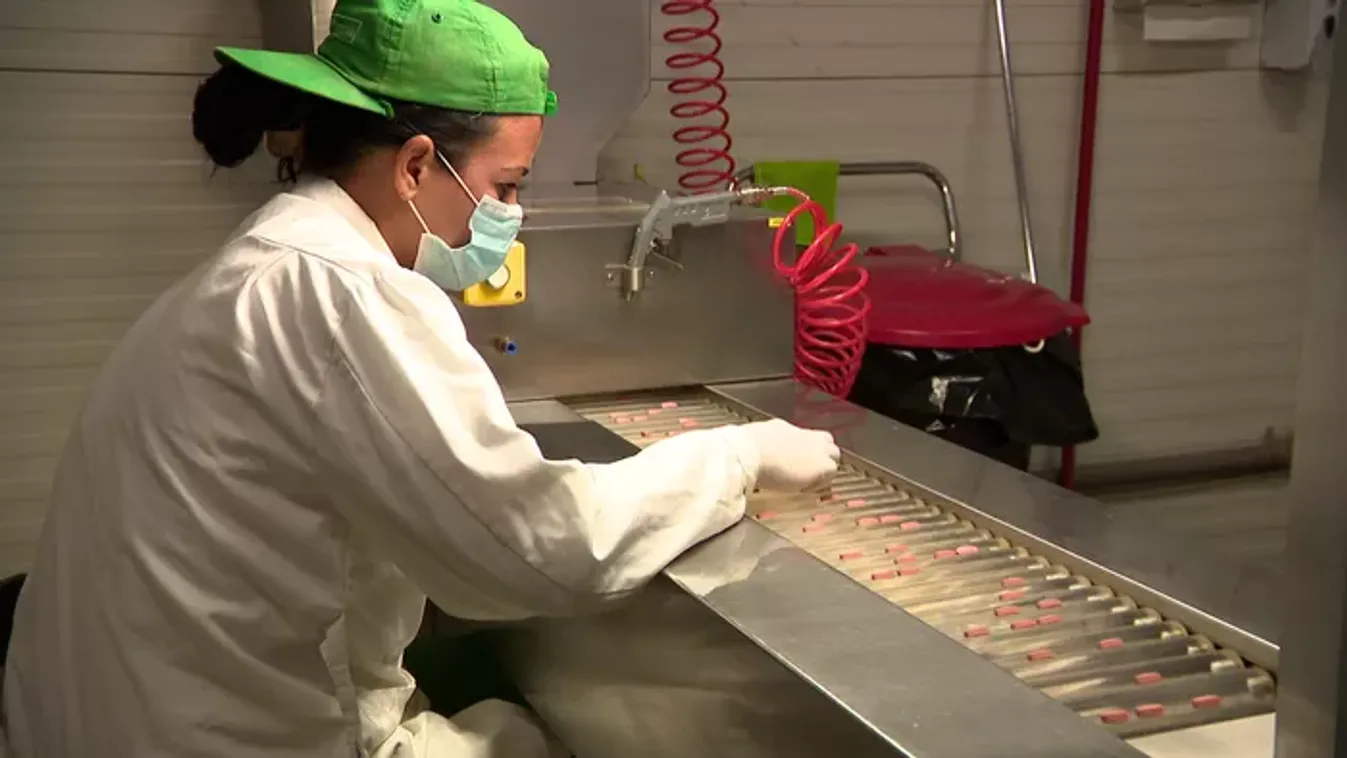 A Tisza párt gazdasági terve visszahozhatja a 2010 előtti feketegazdaságot