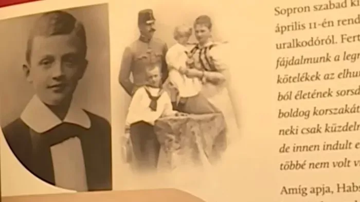 IV. Károly Sopronban