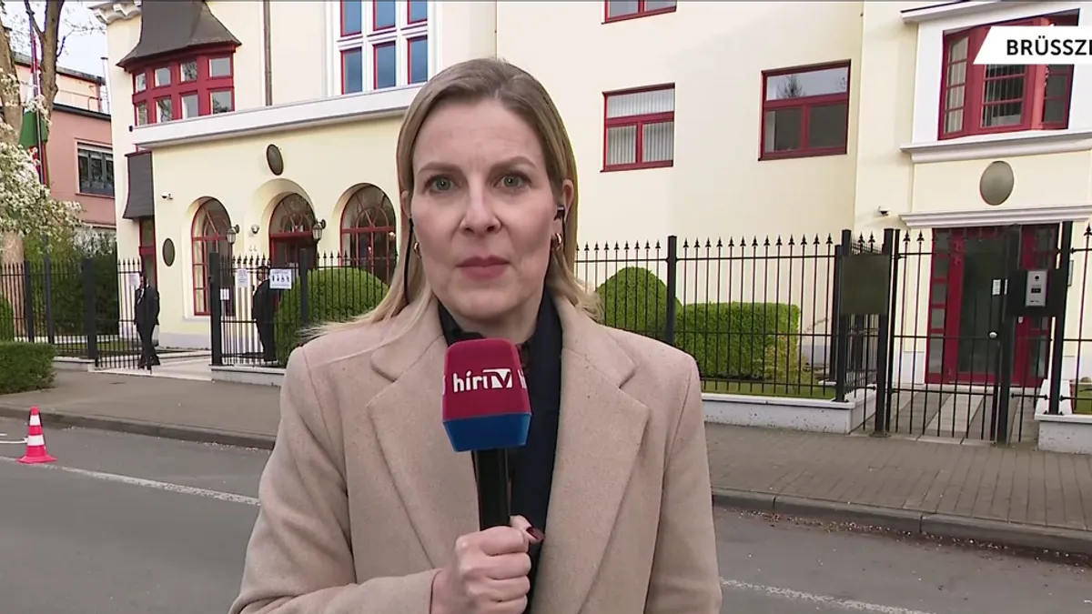 Brüsszeli rekord: szinte minden regisztrált magyar az urnákhoz járult a belga fővárosban