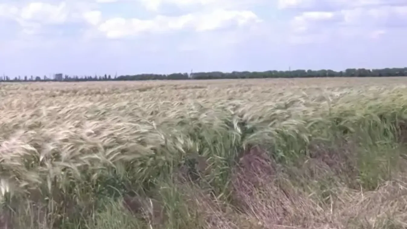 Közel 2 millióan rejtőzködnek, bujkálnak az ukrán hadsereg elől