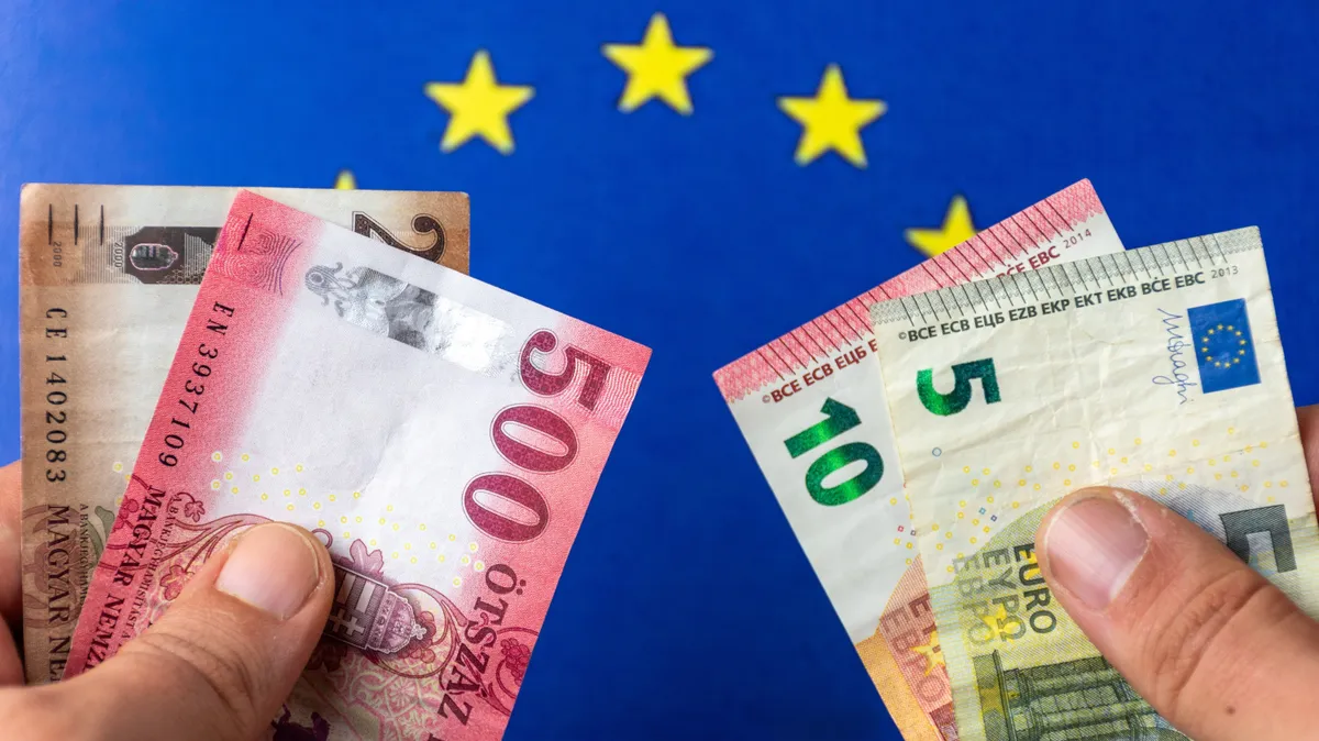 Alapos tervezőmunkára van szükség, hogy sikeres legyen az euró bevezetése